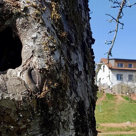 Coeur Vert Oekologisch Mit Viel Ambiente Fuer Seelen-Wellness Роншан Стая снимка